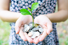 A leaf grows upwards from a handful of coins - how do banks grow your money?