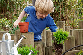 Blonde-haired boy with blue shirt, watering plants in a garden