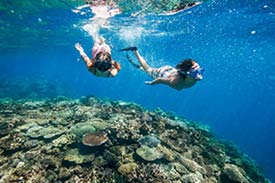 Couple snorkeling across a coral reef in Fiji